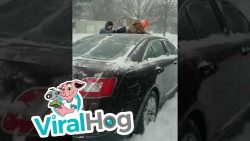 mit dem sohn das auto schneefrei