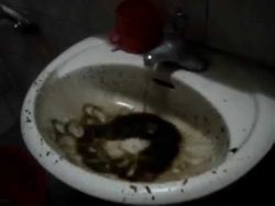 Mit dem Wasserhahn stimmt etwas nicht mit dem wasserhahn stimmt etwas