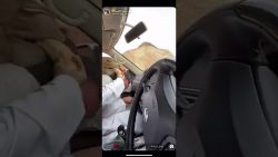 Mit einem Kamel spielen und Spaß haben mit einem kamel spielen und spas