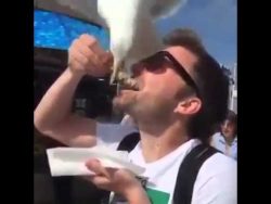 moewe klaut fisch kurz vorm verz