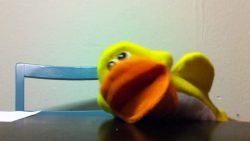 Mr. Quack laber nicht mr quack laber nicht