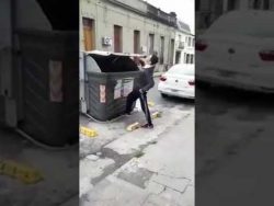 Mülltonne rächt sich muelltonne raecht sich