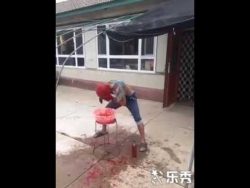 neue mitbewohner zu tode erschre