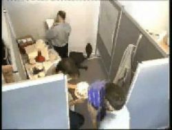 nie im buero einen furz lassen