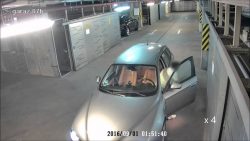 niemals betrunken auto fahren