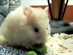 nom nom nom nom nom nom nom