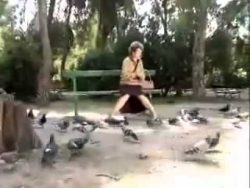 oma und die tauben im park