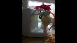 Orangen schälen zu Hause mit der Küchenmaschine orangen schaelen zu hause mit de