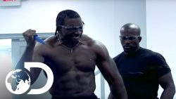 polizisten tasern big guy in ame