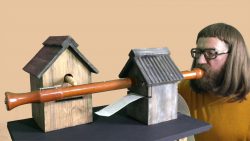 quentin and his birdbox orchestr