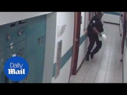 Ratten in der Polizei Station ratten in der polizei station