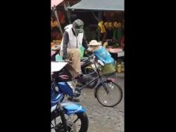 regenfester hund auf dem fahrrad