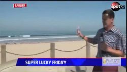 reporter gegen insekten