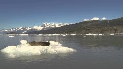 robbe erschreckt sich richtig to