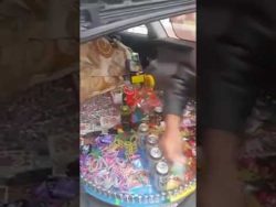 roulette aus dem kofferraum hera