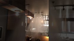 saganaki mit ouzo flambiert