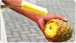 sauber und gut eine ananas schne