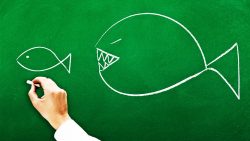 Schaffst du diese 6 Rätsel schaffst du diese 6 raetsel