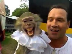 schreiender affe auf dem arm von