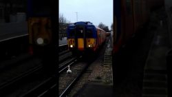 schwan haelt einen zug auf