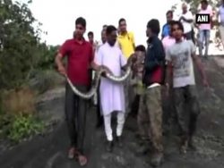 Selfie mit bissiger Python selfie mit bissiger python