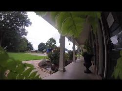 SHANNON YOUR PIZZA IS HEREEEE shannon your pizza is hereeee