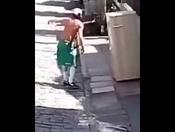 so transportiert man einen kuehl