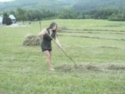 Solche Mädchen braucht das Land solche maedchen braucht das land