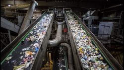 sortieren am fliessband durch di