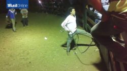 stier verschafft sich gleich ord