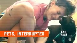 tiere mischen sich ein und stoer