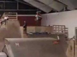 top 8 der lustigen idioten