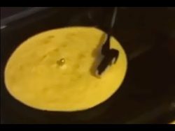 tortilla auf dem plattenspieler