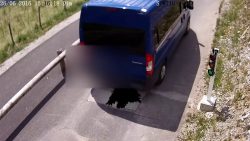 transporter vs mobiler poller in