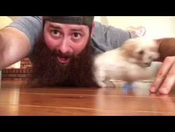 ueberraschung aus dem bart eines