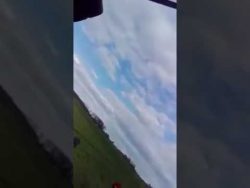 Veganerin rastet aus veganerin rastet aus