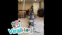 versenke den tennisball im glas