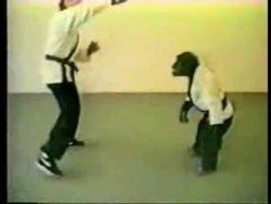 vorsicht hier kommt ein kung fu