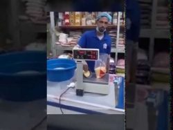 Wahre Experten bei der Arbeit wahre experten bei der arbeit