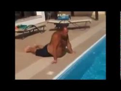 walross will zum wasser