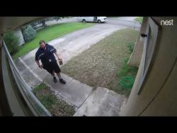 was fuer ein froehlicher paketbo