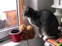 was gibts da denn zu sehen