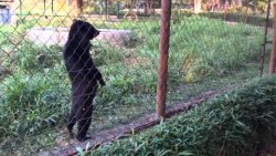 was lachst du denn so