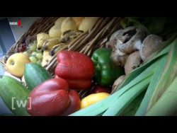 Was passiert wenn Lebensmittel gammeln? was passiert wenn lebensmittel g