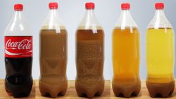 was passiert wenn man cola mit m