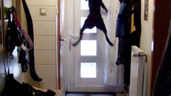 wenn der brieftraeger an die tue