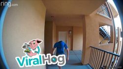 wenn der nachbar die post klaut