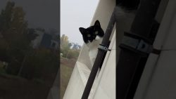 wenn du beim kiffen erwischt wir