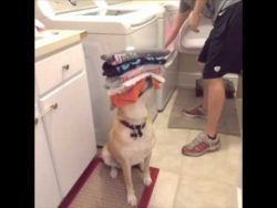 Wenn man eine helfende Hand braucht wenn man eine helfende hand brau