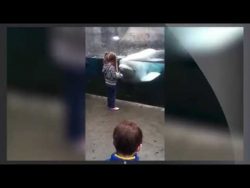 wenn tiere menschen erschrecken